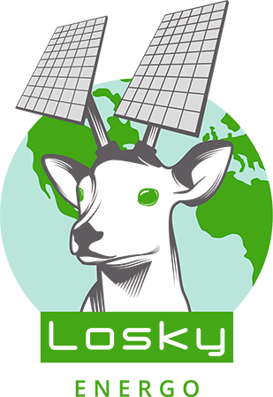 logo losky